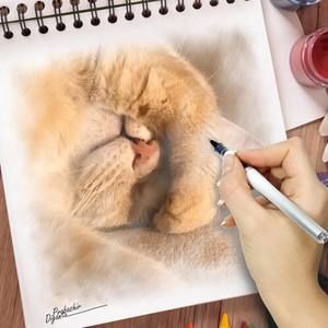 Meet your Posher, Sherri